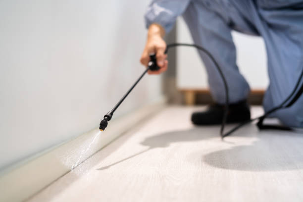 Licensed Termite Control service in Livonia, MI - Nex Pest Control