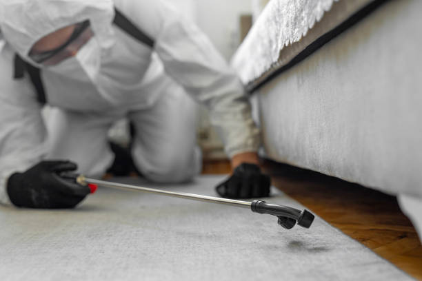 Professional Termite Control technician working in Livonia, MI