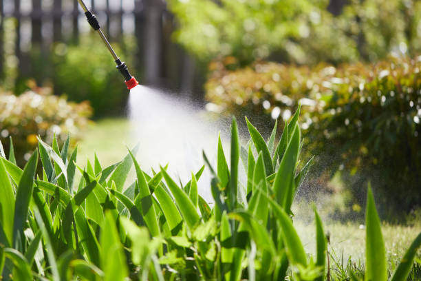 24/7 Emergency Termite Control experts in Livonia, MI