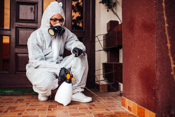 Reliable Termite Control contractor in Livonia, MI by Nex Pest Control