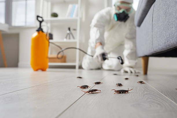 Trusted Emergency Pest Control service in Livonia, MI - Nex Pest Control